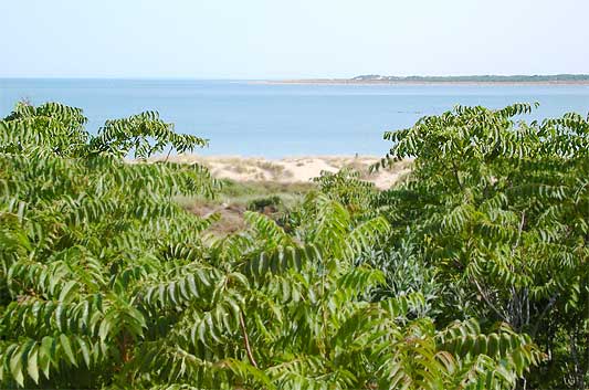 Urbanización y Playa